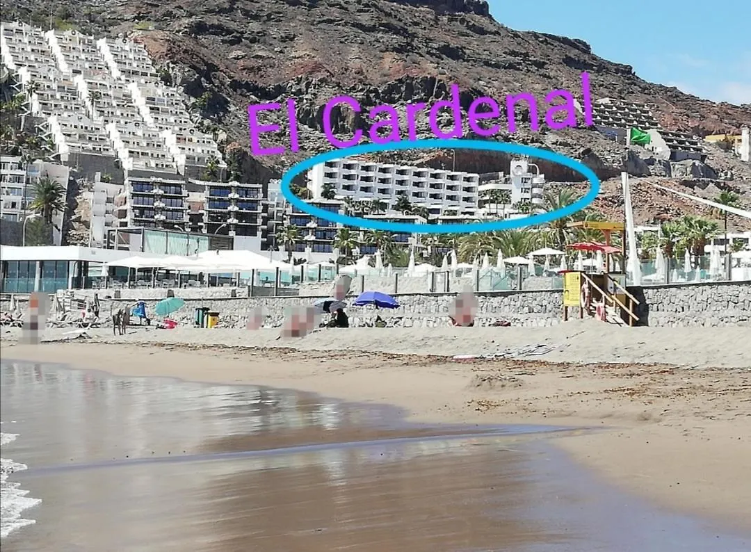 Apartamento El Cardenal Mick & Rosa Playa Del Cura  Appartement Playa Del Cura (Gran Canaria)